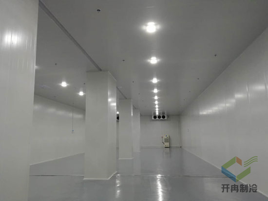 建造醫(yī)用試劑冷藏庫安裝費用價格需要多少？