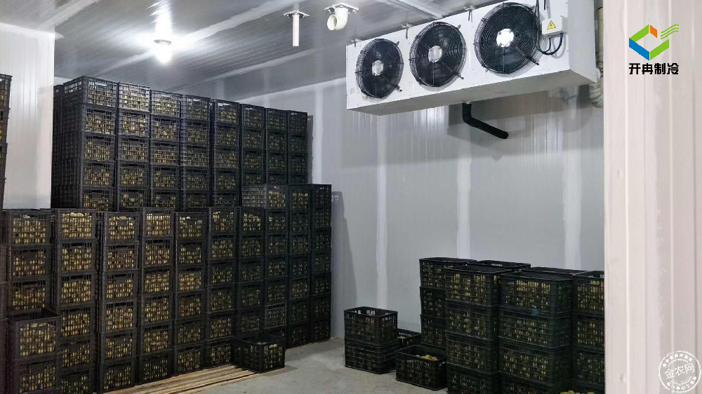 建造一個(gè)100噸的水果保鮮冷庫多少錢？