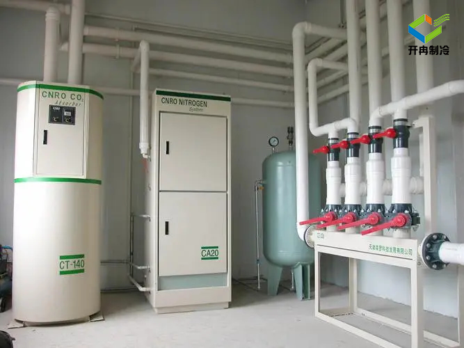 建造一個(gè)100噸的水果保鮮冷庫多少錢？
