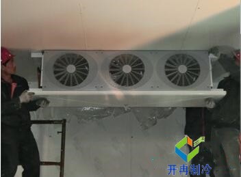 東莞100平水果保鮮冷庫造價大概要多少錢？
