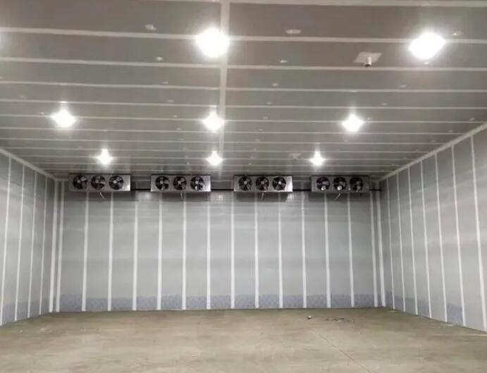 內(nèi)蒙古某客戶(hù)建造1500立方玫瑰香葡萄氣調(diào)保鮮冷庫(kù)工程案例