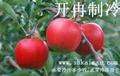 水果冷庫(kù)報(bào)價(jià)、一個(gè)水果冷庫(kù)多少錢(qián)
