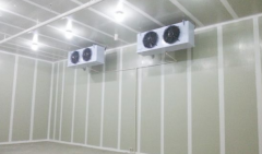 水果種植客戶(hù)300噸氣調(diào)庫(kù)建造案例