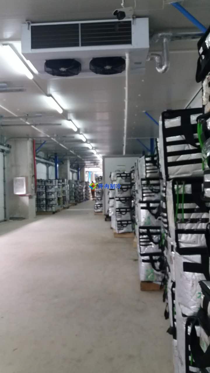 豬肉加工車間冷凍庫建設(shè)，排酸冷庫設(shè)計(jì)規(guī)劃方案