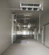 -25℃低溫海鮮魚(yú)肉加工廠冷凍庫(kù)安裝設(shè)計(jì)標(biāo)準(zhǔn)費(fèi)用多少？