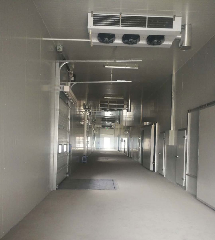 -25℃低溫海鮮魚肉加工廠冷凍庫安裝設(shè)計(jì)標(biāo)準(zhǔn)費(fèi)用多少？